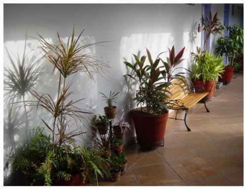 Suitel 522 Eco Hostel Mazatlan Luaran gambar