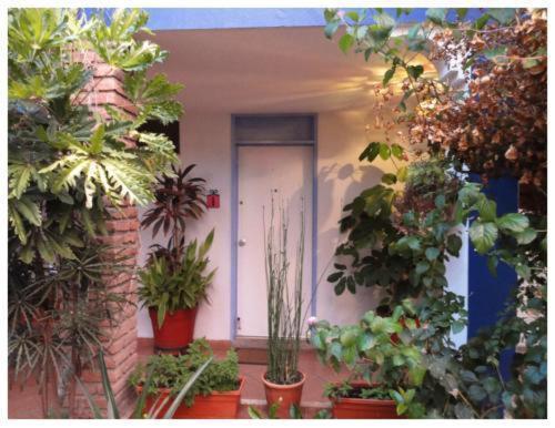 Suitel 522 Eco Hostel Mazatlan Luaran gambar
