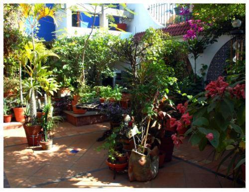 Suitel 522 Eco Hostel Mazatlan Luaran gambar