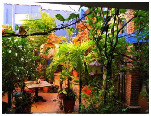 Suitel 522 Eco Hostel Mazatlan Luaran gambar